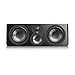 SVS Ultra Evolution Center Channel Speaker - Each (Piano Gloss Black)