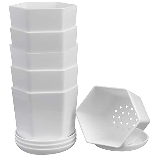WAIZHIUA 6 vasi da fiori in plastica da 9 cm, piccoli vasi esagonali in resina, contenitori per piante da giardino, con vassoio, per piante grasse, cactus, erbe, casa, ufficio, balcone, decorazione