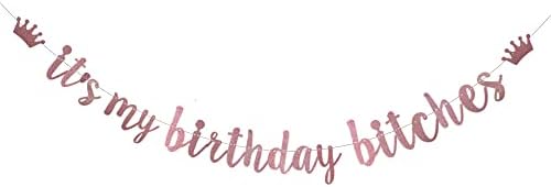 XIAOLUOLY Rose gold Glitter Banner,Pre-Strung,Funny Birthday Party Decorations Bunting Sign Backdrops,it's my birthday bitches image 3