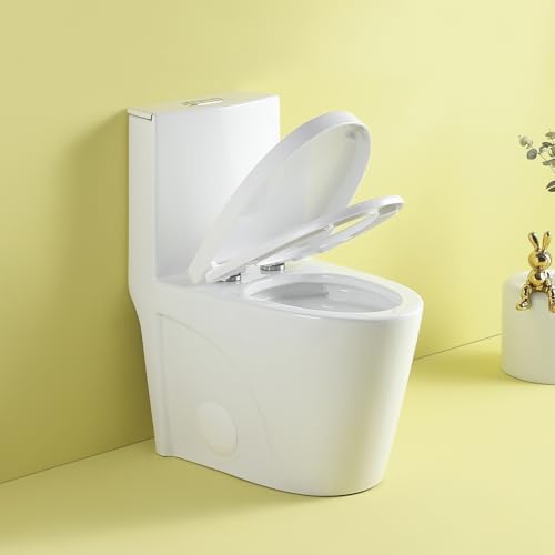 Compact Elongated One Piece Toilet with Soft-close Seat, Dual Flush 1.1/1.6 GPF and MAP 1000g, Modern Standard Water Saving Toilets for Bathrooms, 12