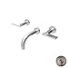 Newport Brass 3-2485 Priya Tub Filler Faucet Trim Wall Mounted with Metal Lever, Antique Nickel