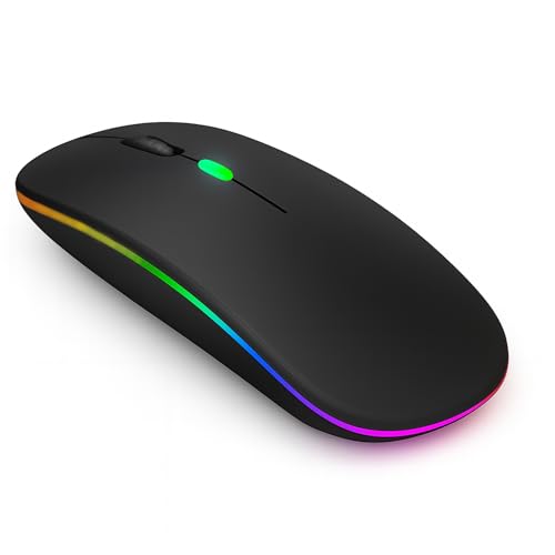 Ratón Inalámbrico Ultrapreciso,Ratón Inalámbrico 2,4G + Bluetooth con USB, Silencioso y Recargable,3 Niveles DPI Ajustable para Oficina y Hogar,Compatible con PC,Portátil,Tablet,Windows,iOS y Android
