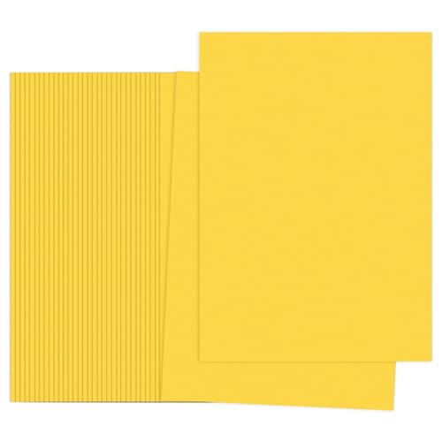 PATIKIL CG[F̃Rs[p 100 11.7x8.3C` A4 19|h/70gsm ʃJ[vgp oNV[g DIY NtgA[gvWFNgpi v^[ ܂莆