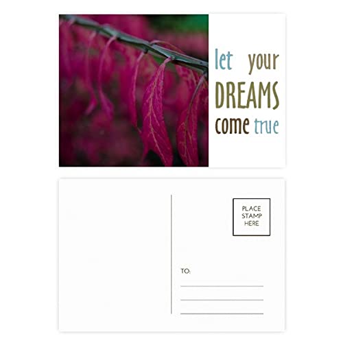 Cartes postales de remerciement Dream Come True Red Nature (Lot de 20)