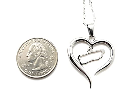 Papiichulo Corazon Puertorriquena4