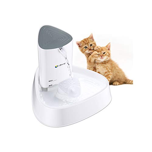 IsYoung Fontaine automatique à LED pour chat avec débit d'eau réglable, filtre à charbon actif, super silencieux, idéal pour les chats et les petits chiens