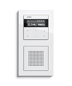 Gira 232029 Internetradio IP Set mit Lautsprecher