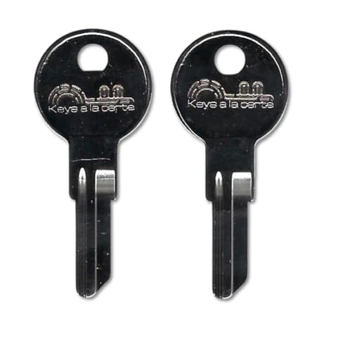 KEYSALACARTE W401 Key – Replacement for Hudson, National, ESP, Global, Pundra, Wesko – Cut on IN8 Key Blank