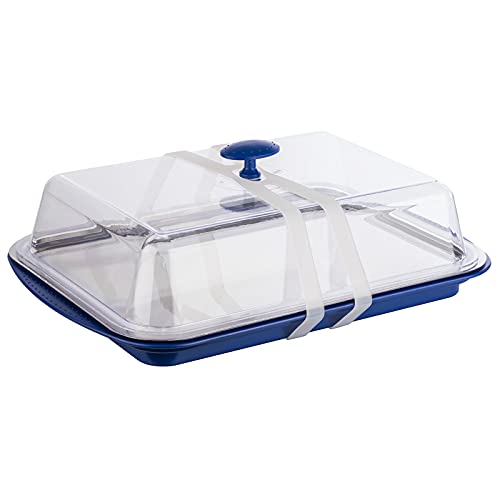 APS 9090 stainless steel thermal system 43cm x 19cm, blue, 2 pieces