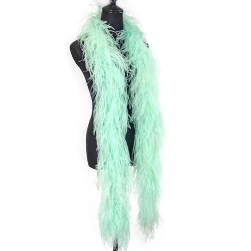 YOLNEY metri di boa di piume di struzzo colorate 6PLY scialle con rifiniture naturali per feste, abiti da sposa, carnevale, sciarpa con piume-33 menta-2 metri