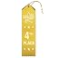 4th Place - Yellow
