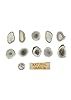 Natural Dakota Deer Antler Beads/Slices (Crafts, Jewelry Making, Beading Supplies) (Xtra Large) #3