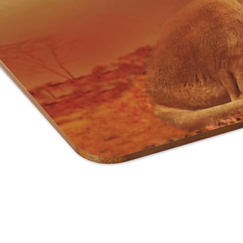 Sets de table soleil levant couple de lions avec dessous en liège souple
