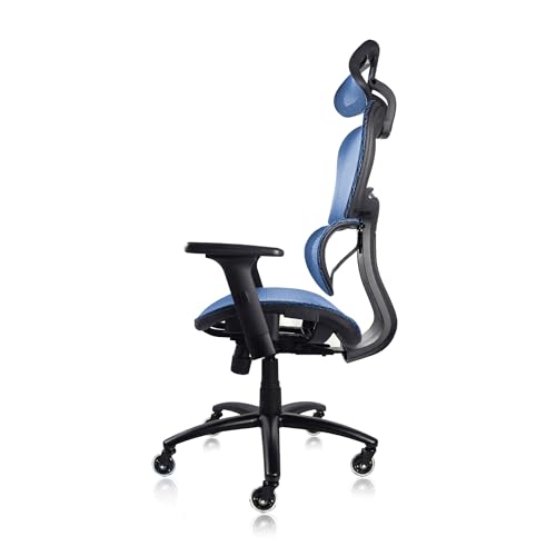 Image of Nouhaus Ergo3dL Home Office Desk Chairs Ergonomic Office Chair High-Back Mesh Rolling Work Chairs with Wheels and Adjustable Headrests Comfortable Lumbar Support Adjustable Armrests (Blue)