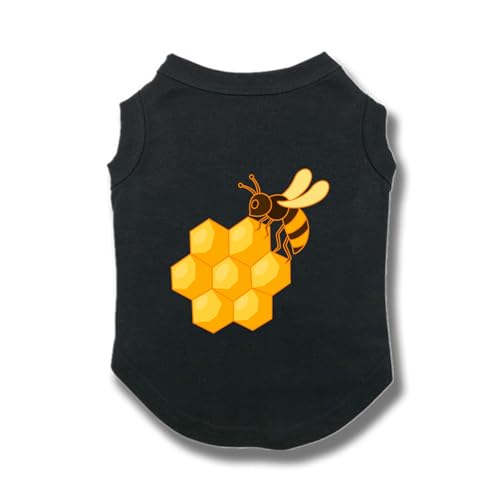 [XZVGJ] ubN ybg ^ Lk ybgEFA hbOEFA lC t@bV  L  ȒPE LOBe [΍ ё΍ 5XL ȒPE  킢 ^ hbOEFA 