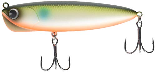 Worm Somari 90 IMA poisson carnassier pêche leurre souple