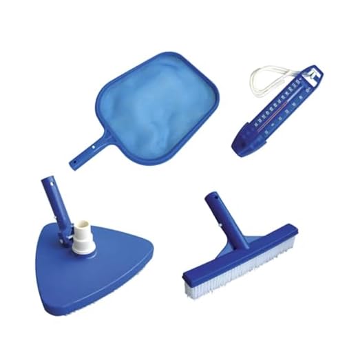 Kit De Limpieza, Incluye Recogehojas De Superficie, Limpiafondos Triangular, Termómetro Y Cepillo 25 Cm
