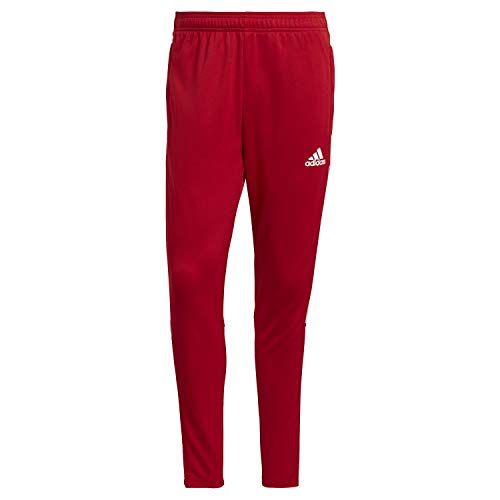 Adidas, Tiro 21 Training Pants, Hose, Team Power Red, L, Mann