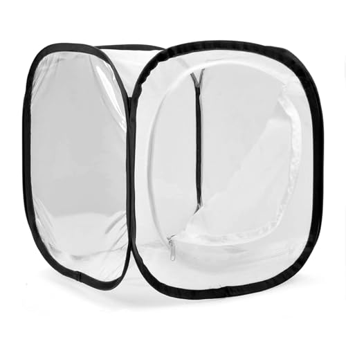 ZERONOWA P[W ܂  ώ@ ɐB P[X y bV ʋC (S)