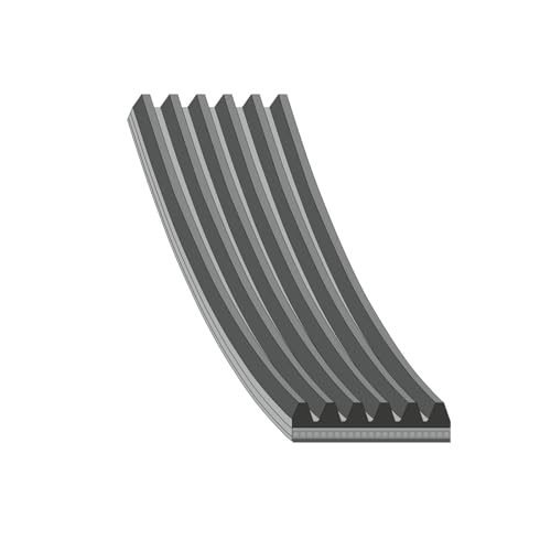 Cinghia Poly-V Febi Bilstein 102310 - 2