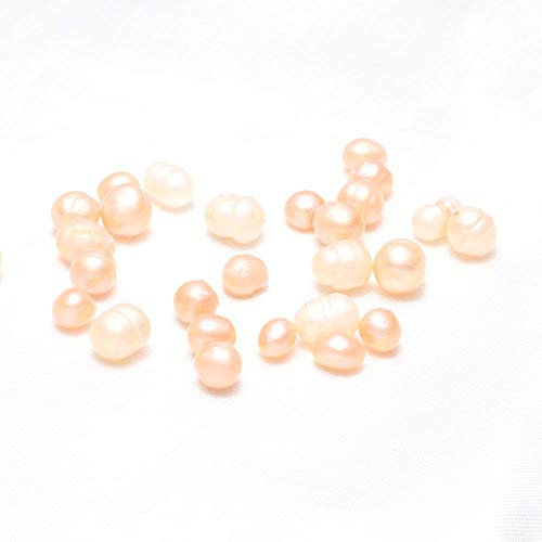 Freshwater Cultured Pearl in Oyster (5-7mm) - Anniversary Decoration for Jewelry Making or Birthday Gifts
