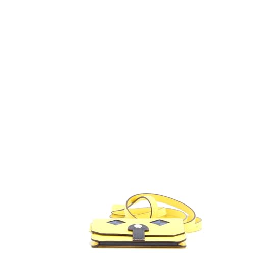 Pre-Loved Chien Card Holder with Strap Swift and Chevre Mysore, Jaune de Naples4