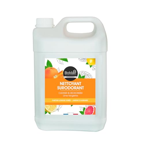 BOLDAIR Nettoyant Surodorant Sols & Surfaces - Sans rinçage - Formule concentrée avec bouchon doseur - Jardin d'agrumes - 5L