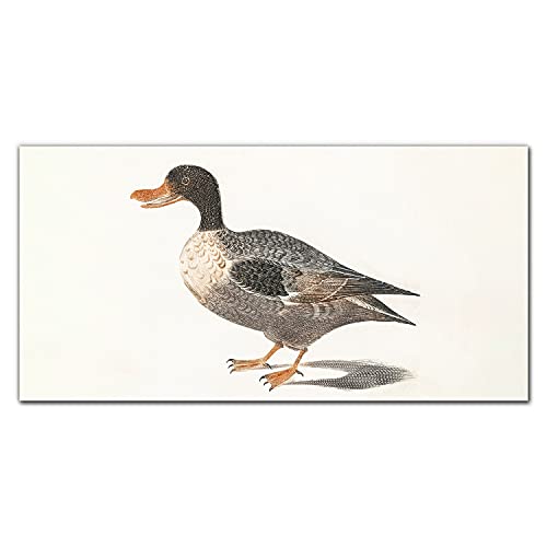 Photo sur verre trempé 100x50cm tableau en verre canard décoration intérieure