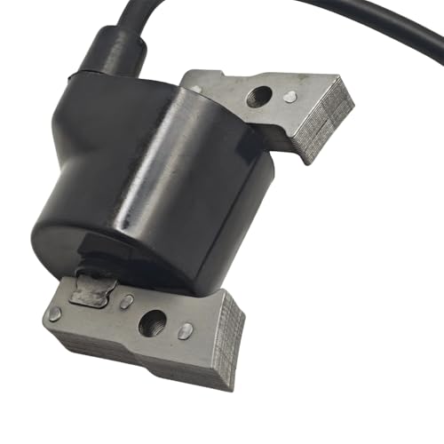 Bobina de encendido para poner a punto el cortacésped FB460V en jardín 3