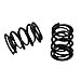 65lb Dual Valve Spring Kit For Predator 420cc Fo GX240 GX270 GX270 GX340 GX390 Engine