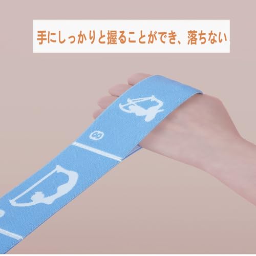 Hosmore バレエストレッチバンド 10レベル 10セグメント ブルー