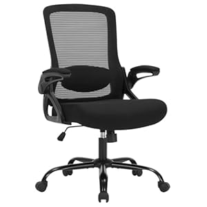 Office Chair, Ergonomic Desk Chair with Adjustable Height, Lumbar Support, High Back Mesh Support with Flip up Armrests, Task Chairs for Home Office Computer