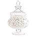 Barattolo di Caramelle in Vetro,Barattolo Vetro Trasparente,Contenitore di Caramelle Decorativo,Piatti Di Caramelle Con Coperchi,Barattolo Caramelle per Negozio Caramelle,Feste, Sagre e Matrimoni