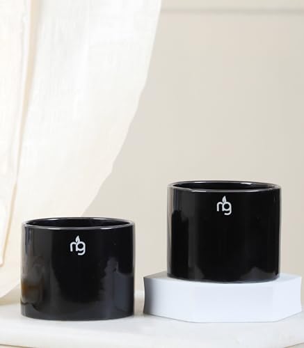 Image of Nurturing Green Combo of 2 Black Ceramic Pots for Plants | Indoor Flower Pots (Size: 3.5 Inch Wide*2.8 Inch High)