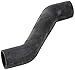 Hoshizaki 4A1007-01, Pump Hose