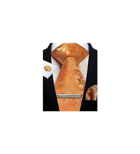Image of Paisley Floral Mens Tie Formal Necktie Pocket Squares Ties Clips Cufflinks Classic for Men Set