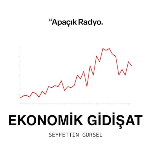Ekonomik Gidişat cover art