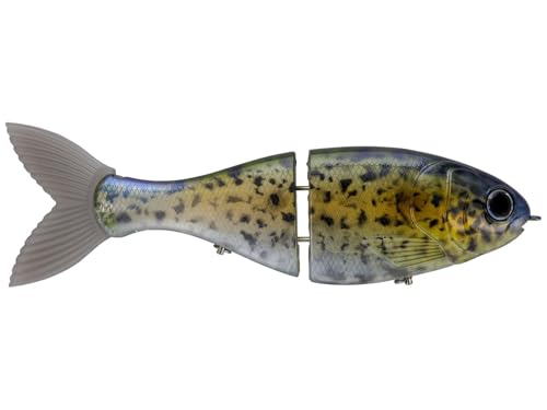 BUCCA uh gbNVbh - 8C`(3IX) - TJCg