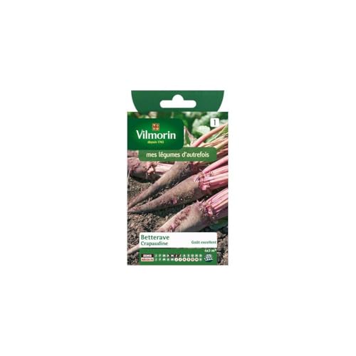Vilmorin - Sachet graines Betterave rouge crapaudine