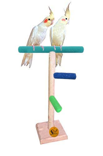 Sage Square 13Inches / 33cm Natural Wood Training Cum Gym,Workout 2 Stairs Playful Perch Bird Full Sand Stand/Bird Toy (B0B1TKP8X9) Amazon Price History, Amazon Price Tracker