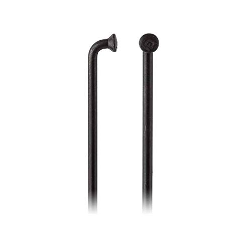 DT Swiss Champion - SCH023284S0100