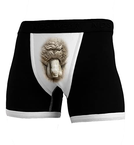 Michelangelo Sculpture of David's Mens Underwear Boxer-Brief