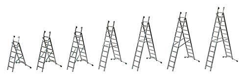 Facal Scale Facal Prima