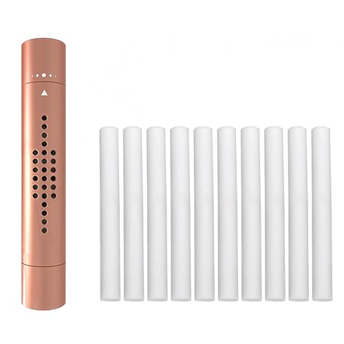 VYNZOR Juego de 11 ambientadores para coche,ambientador interior para coche,con 10 varillas aromáticas para rejilla de ventilación y aire acondicionado,eliminación de olores y distribución automática