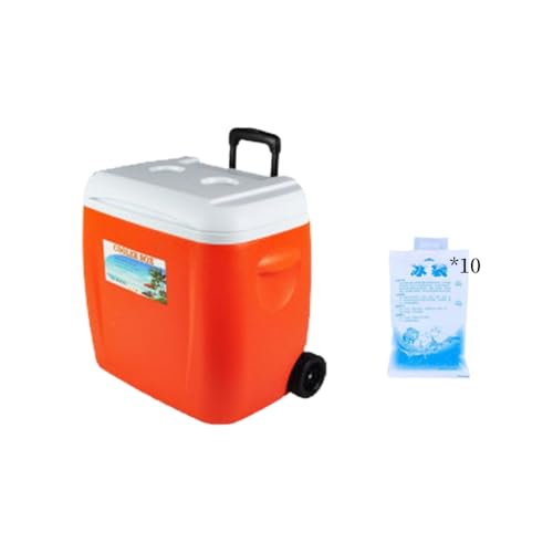 Kirnuo LX^[t N[[{bNX 28L/38L ۗۉ{bNX e ԕۗ 24?48 ܑۗΉ L[nht Lv ނ o[xL[ AEghA (28L,IWFiACXpbN*10j) [sAi]