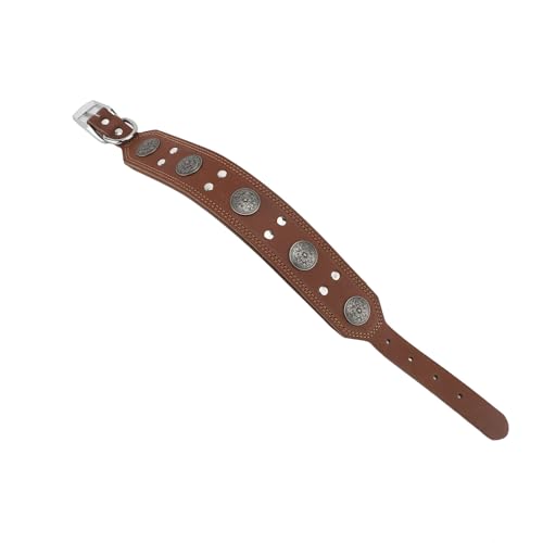 Collares Perros Hunter Marca ZESTEFY