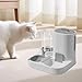 Automatic Pet Feeder Waterer, Pet Bowl Compact Feeding Station Cat Dog Feeder Water Dispenser, Gray