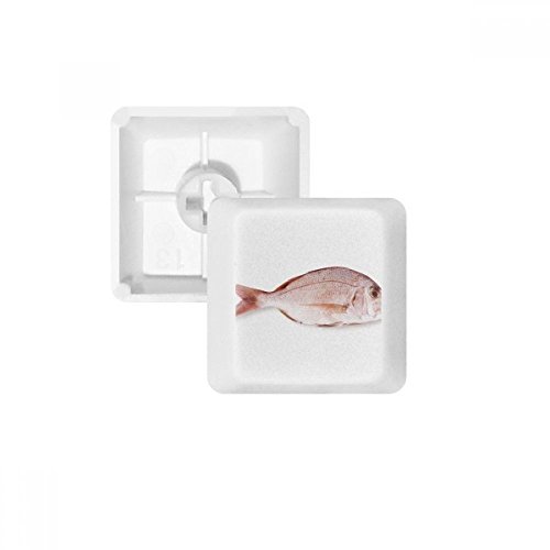 Keycaps poisson frais rose PBT R1 pour personnaliser votre bureau de télétravail