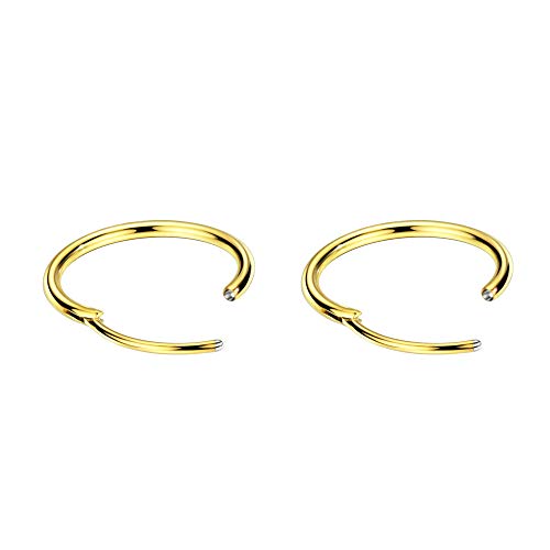 Image of 316L Surgical Steel Endless Hoop Earrings with 16g Tube for Women Silver /Gold /Rose Gold /Black 8mm /10mm /12mm