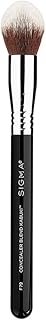 Sigma Beauty F85 Airbrush Kabuki Brush (F79 Concealer Blend Kabuki Brush)